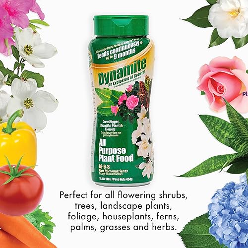 Miniatura 4 de Dynamite 605951 Alimento multiusos para plantas de interior y exterior, 1 libra