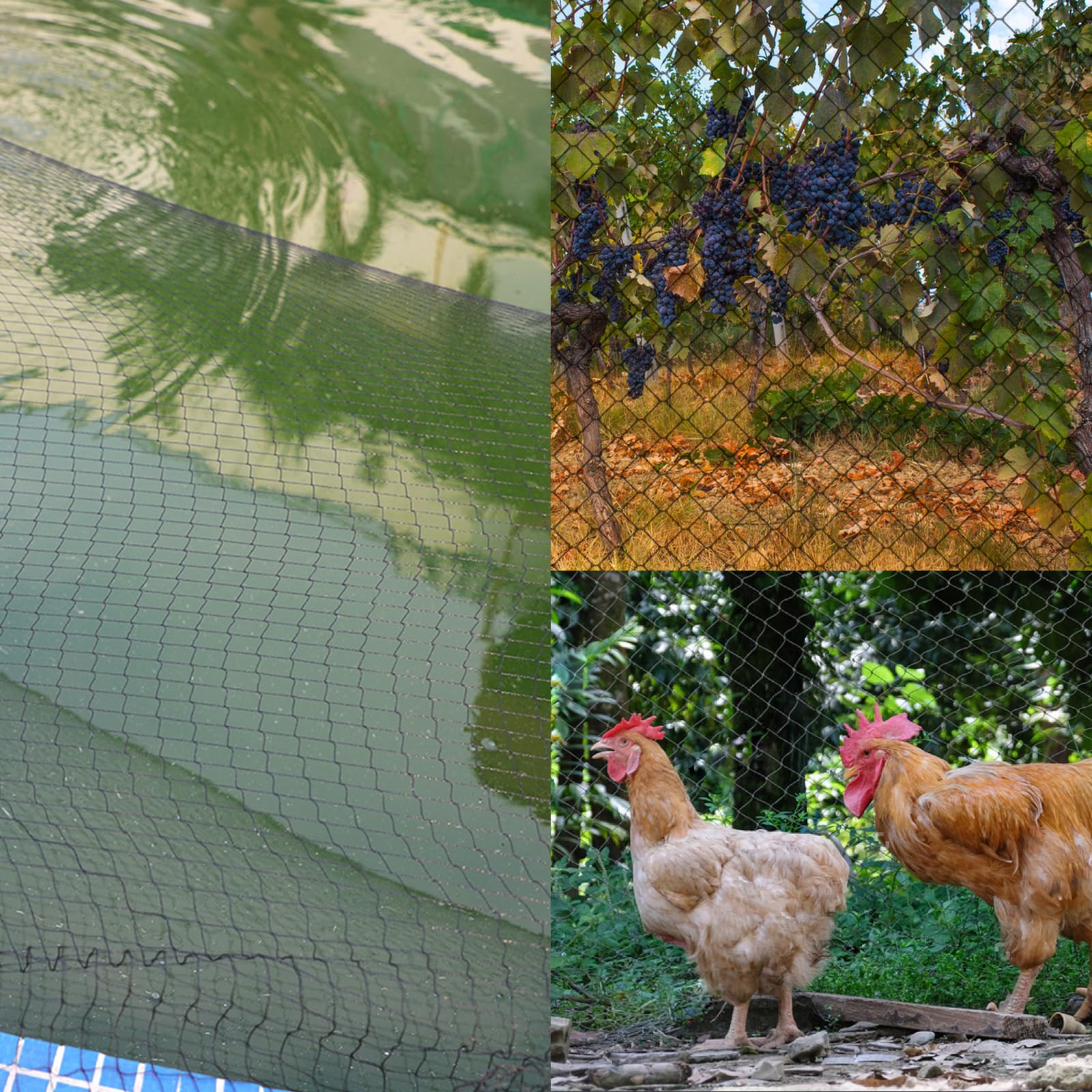 10m x 10 m Malla Antipajaros Negra, Red antipajaros Resistente, Malla para Jardin,Multiusos Red de Protección para Pájaro de Protección de Huerto, Verduras, Gallinero, Malla de 5 cm