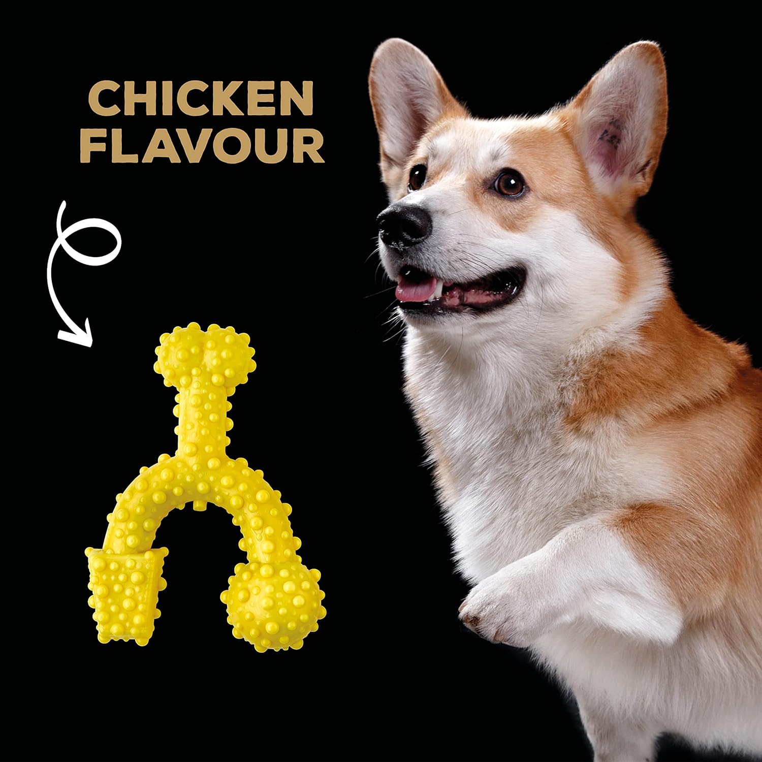 TastyBone TrioBone Nylon Dog Chew Toy for Toy Dogs (Chicken) - Indestructible for Aggressive Chewers, Everlasting Flavour, Strong Healthy Teeth, Made in the UK