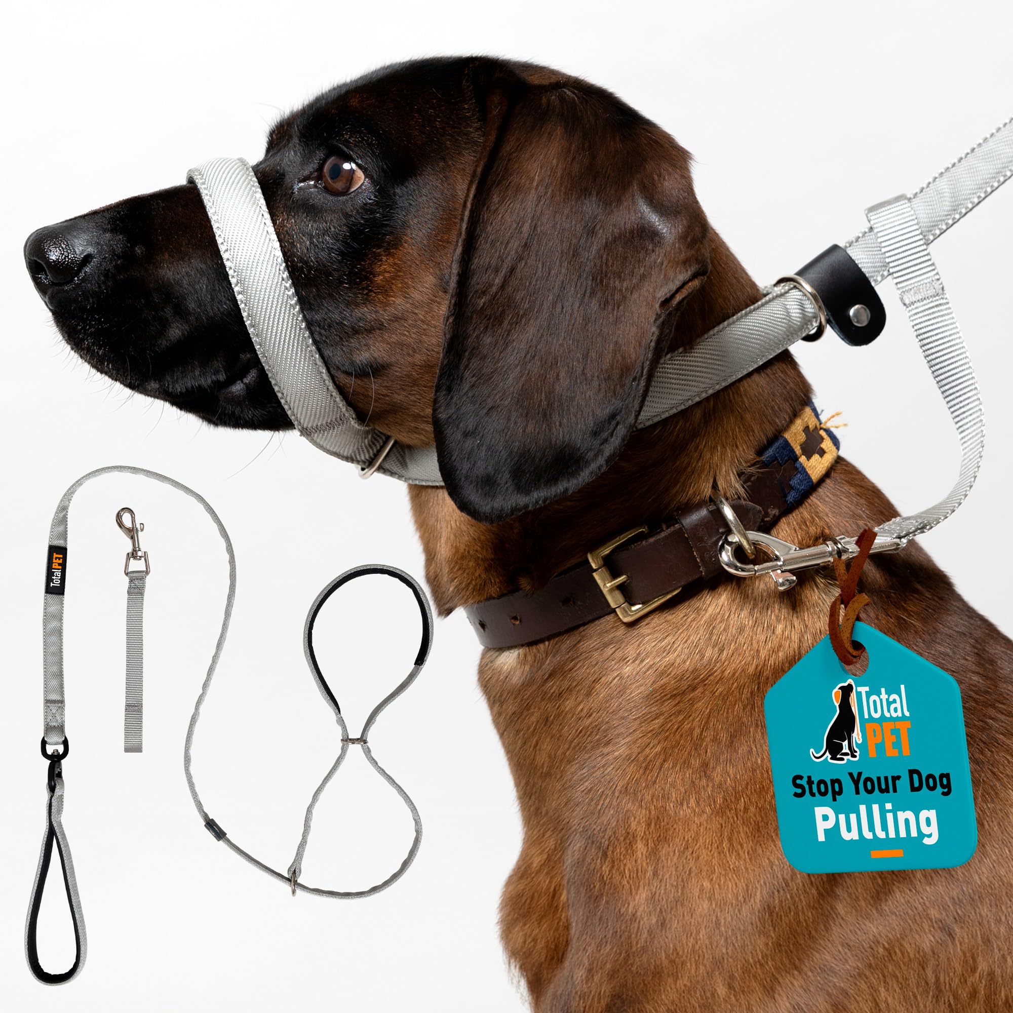 Total Pet Figure of 8 Hundeleine Flach mit Anti Tangle Drehmechanismus - Anti Pull Stop Hunde Ziehen - Retrieverleinen Reflektierend mit Gepolsterter Nasenstütze - (Grau, 180cm)