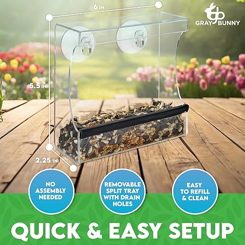 Miniatura 2 de Gray Bunny Comedero para pájaros de ventana transparente  Comedero para pájaros de ventana para exterior, comederos de pájaros de ventana para ver