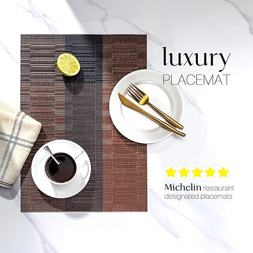 Miniatura 136 de LEXMORE Juego de 6 manteles individuales tejidos de vinilo/plástico para mesa de cocina, interior/exterior, lavables, manteles individuales lavables