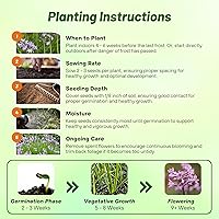 Vista 5 de Outsidepride Society Semillas de ajo para plantar, 100 piezas perennes, de bajo mantenimiento, flores moradas, frescas para jardines de hierbas, uso