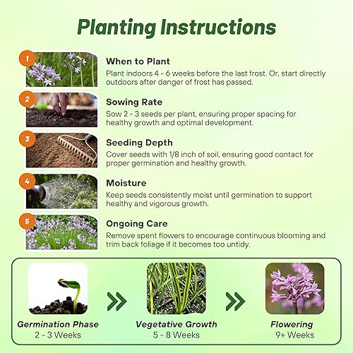 Miniatura 5 de Outsidepride Society Semillas de ajo para plantar, 100 piezas perennes, de bajo mantenimiento, flores moradas, frescas para jardines de hierbas, uso