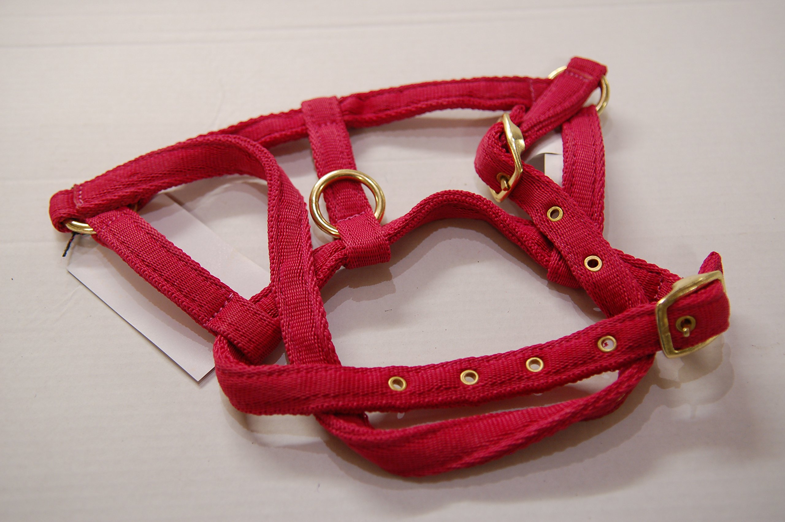 IV Horse Premium Wee Pony Nylon Headcollar (Pink, Large)