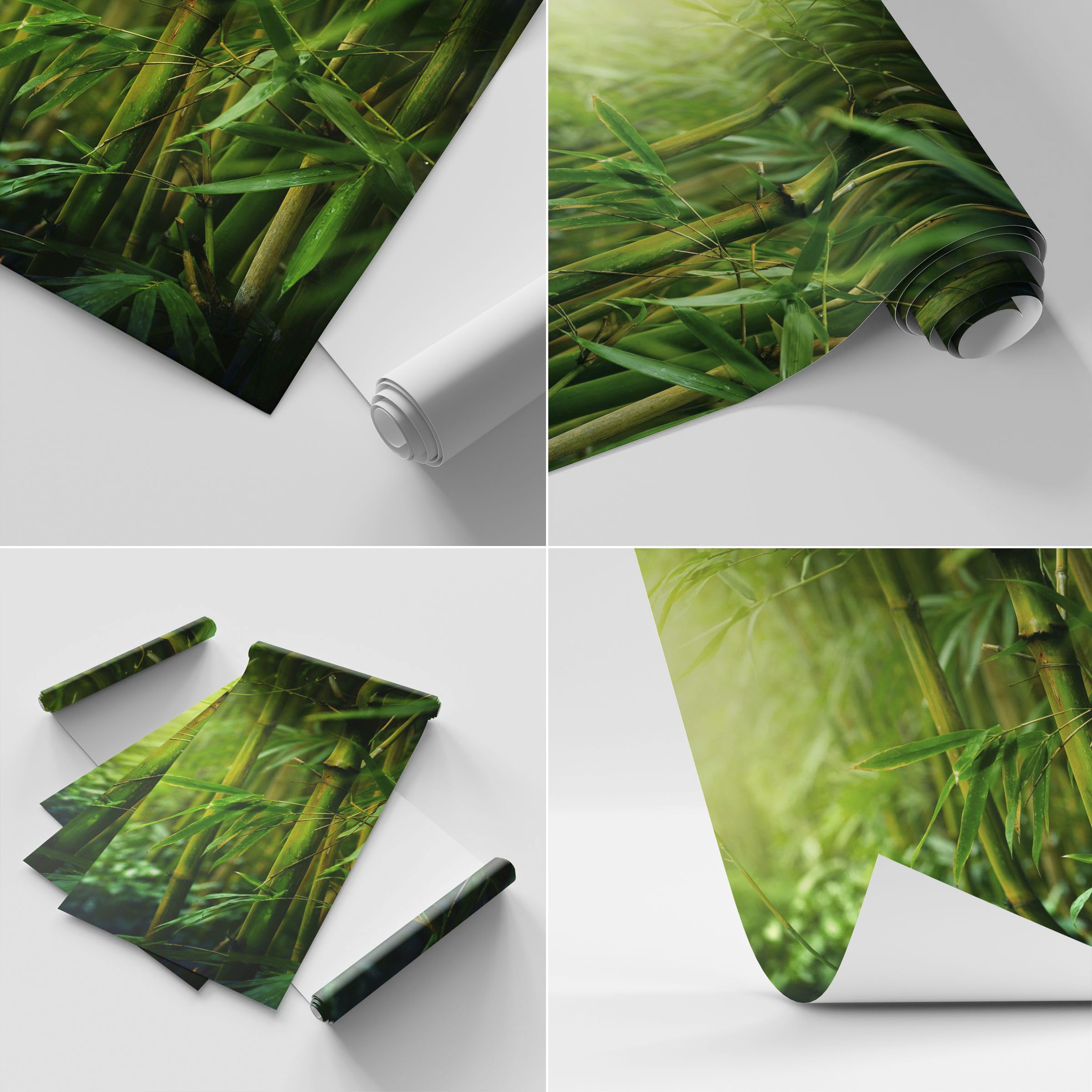 ARTTOR Carta da Parati in TNT 500x350 cm Botanica Foresta - 3558 - WF1