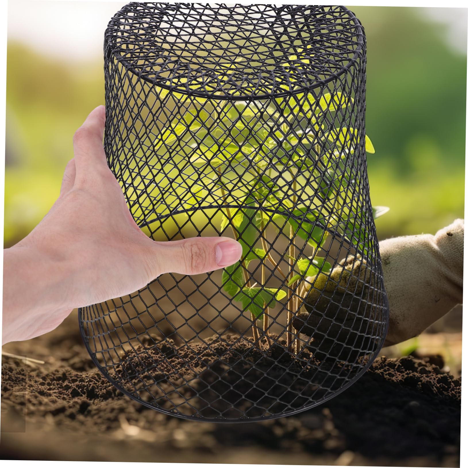 Yardwe Set 4 Pezzi Copertura per Piante in Ferro Nero, Gabbia Protettiva Robusta per Piante Massima Penetrazione della Luce, per Giardino e Orto