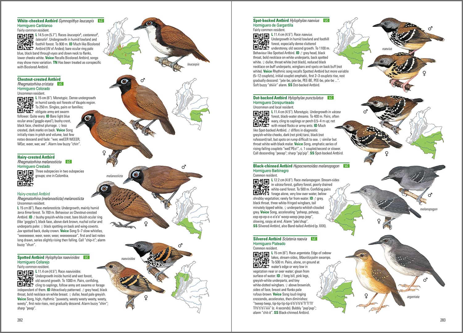 Birds of Colombia