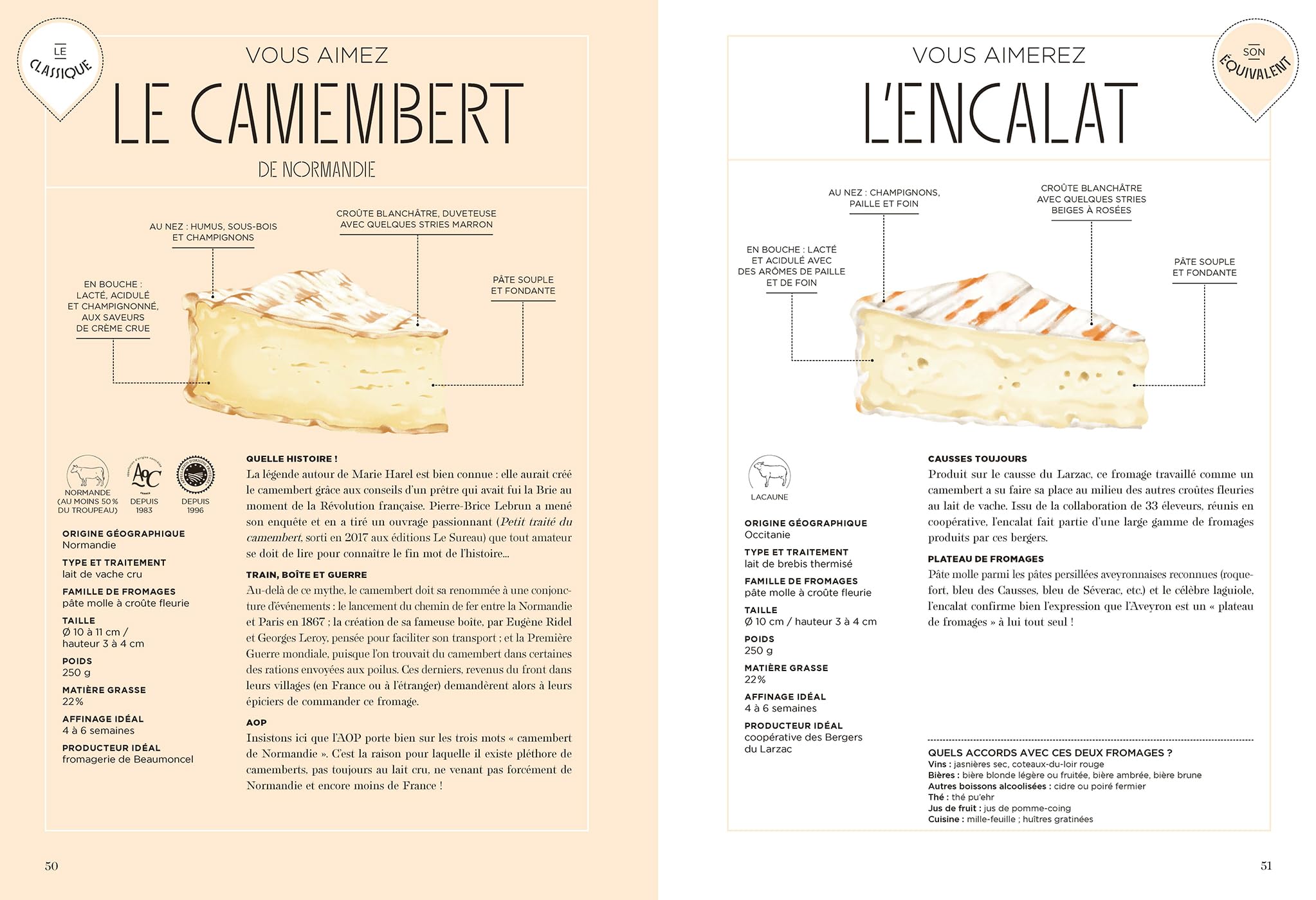 Fromagerie idéale: 31653