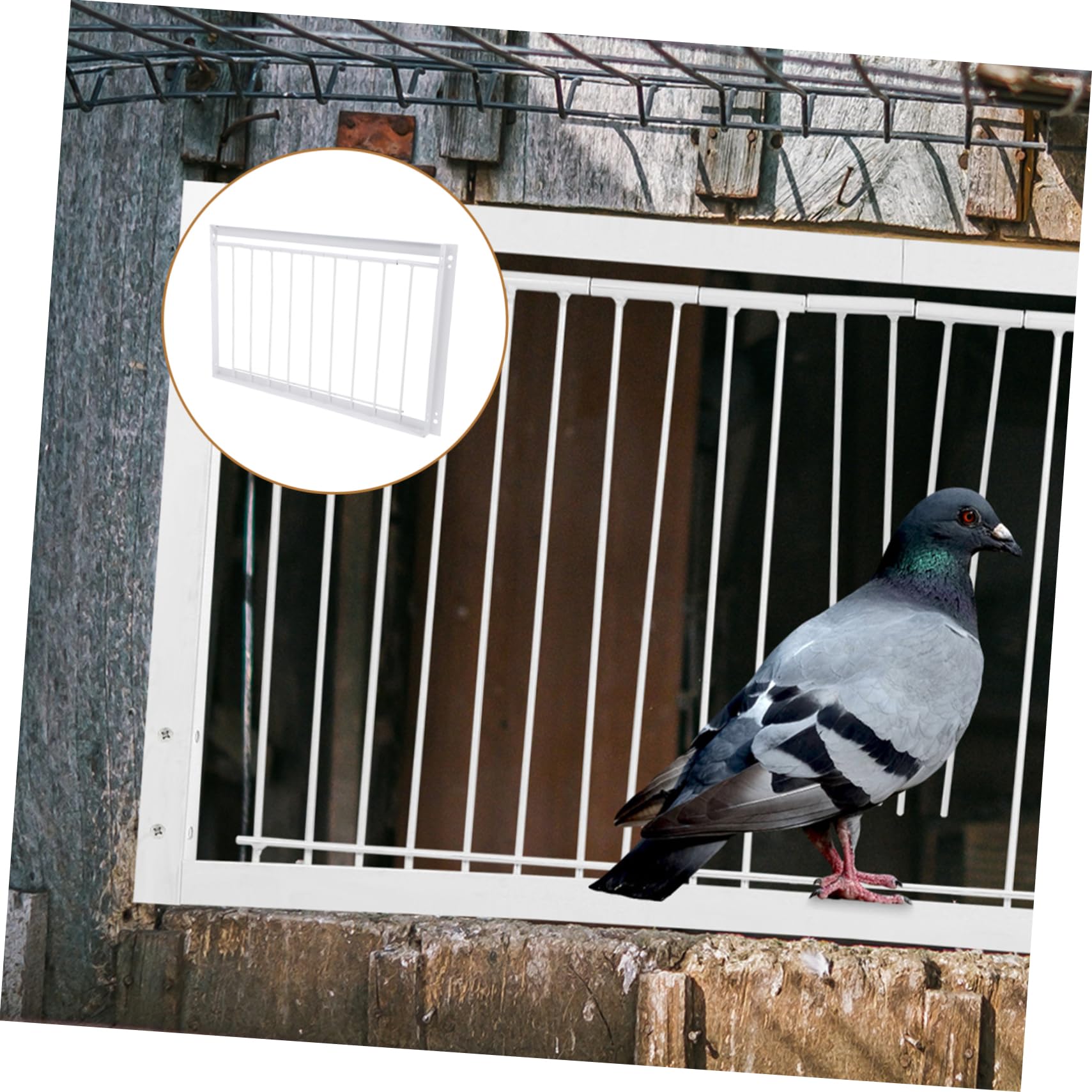 Angoily 1pc Pet Door Bird Cage Pigeon Entrance Door for Pigeon Racing Accessories