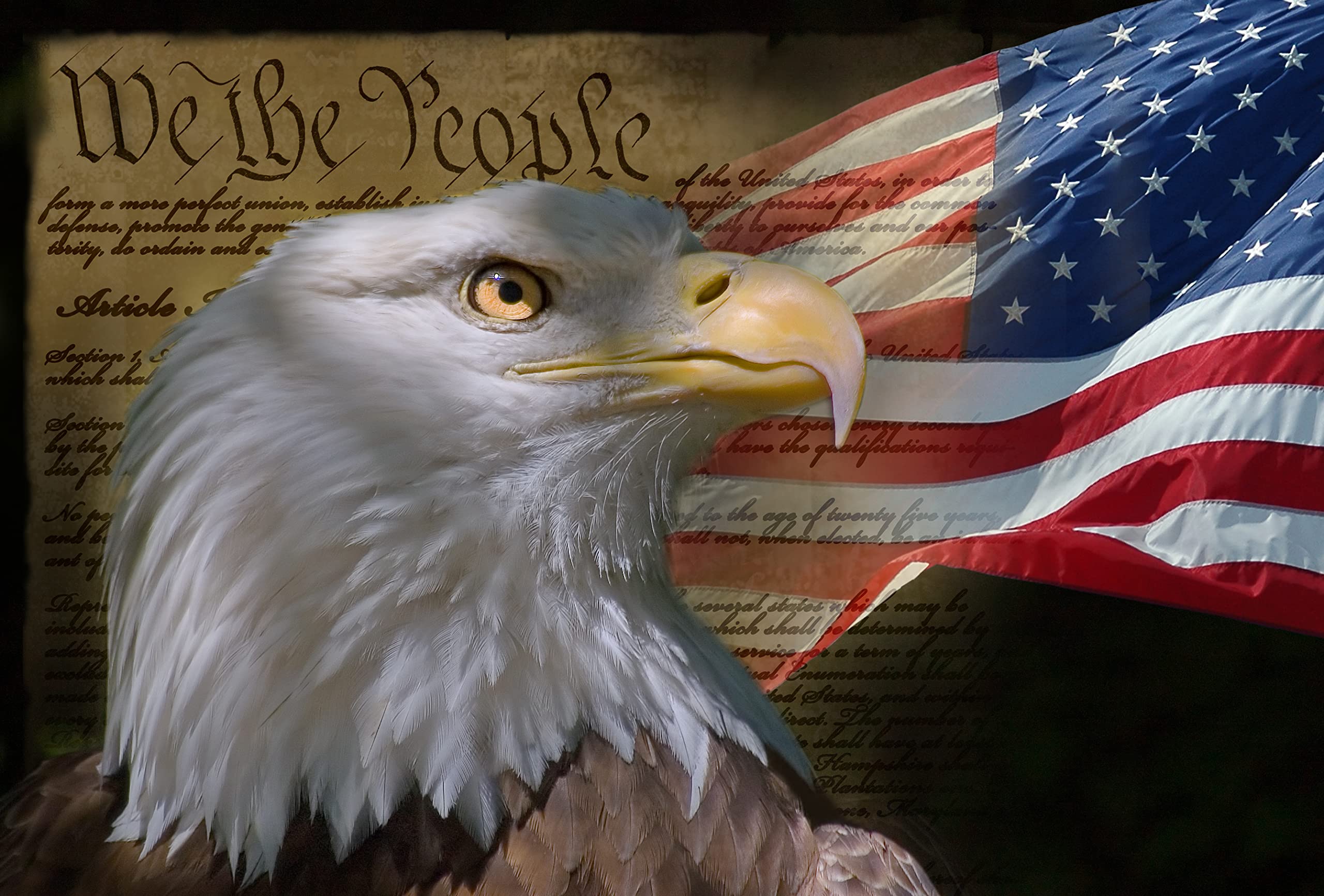 Eagle Puzzles With American Flags