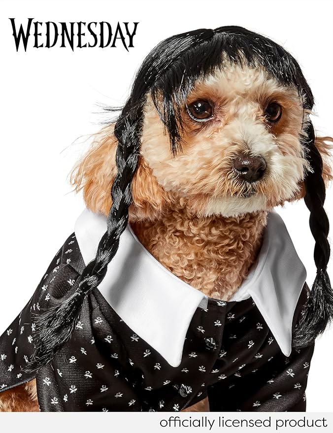 Disfraz Wednesday Addams para Perros o Gatos, Negro, Talla S miniatura 5