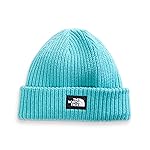 THE NORTH FACE Salty Pup Beanie, Transantarctic Blue, XS