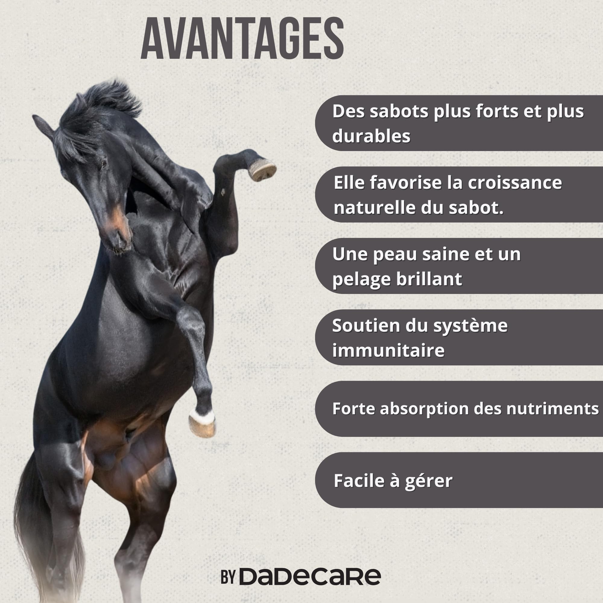 Hoofcare Biotine et zinc pour casques de cheval 750 g – Sabots forts et croissance naturelle – Idéal pour les casques fragiles, le changement de pelage et les chevaux sportifs – Soins sabots et peaux