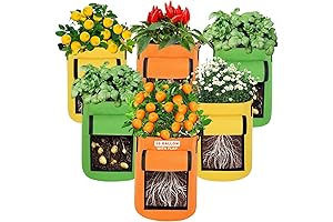 Belit Grow Bags - 6 Pack 10 Gallon Potato Grow Bags