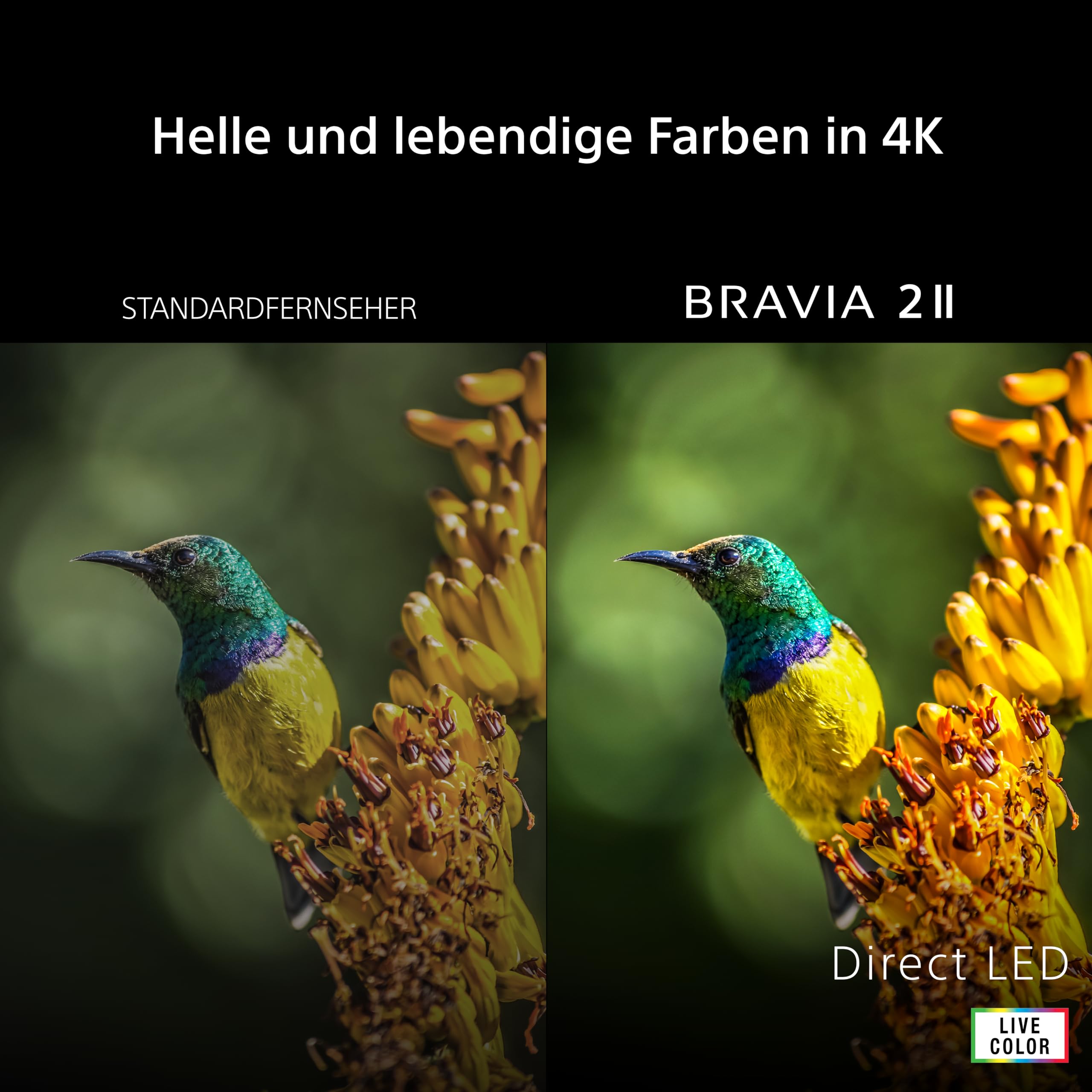 Sony BRAVIA 2 II 43 Zoll Fernseher, 4K Smart TV (Google TV), X1 Prozessor, 4K-Upscaling, Fernseher mit Dolby Atmos und DTS:X, PS5-Kompatibilität, 43S20M2, Modell 2026