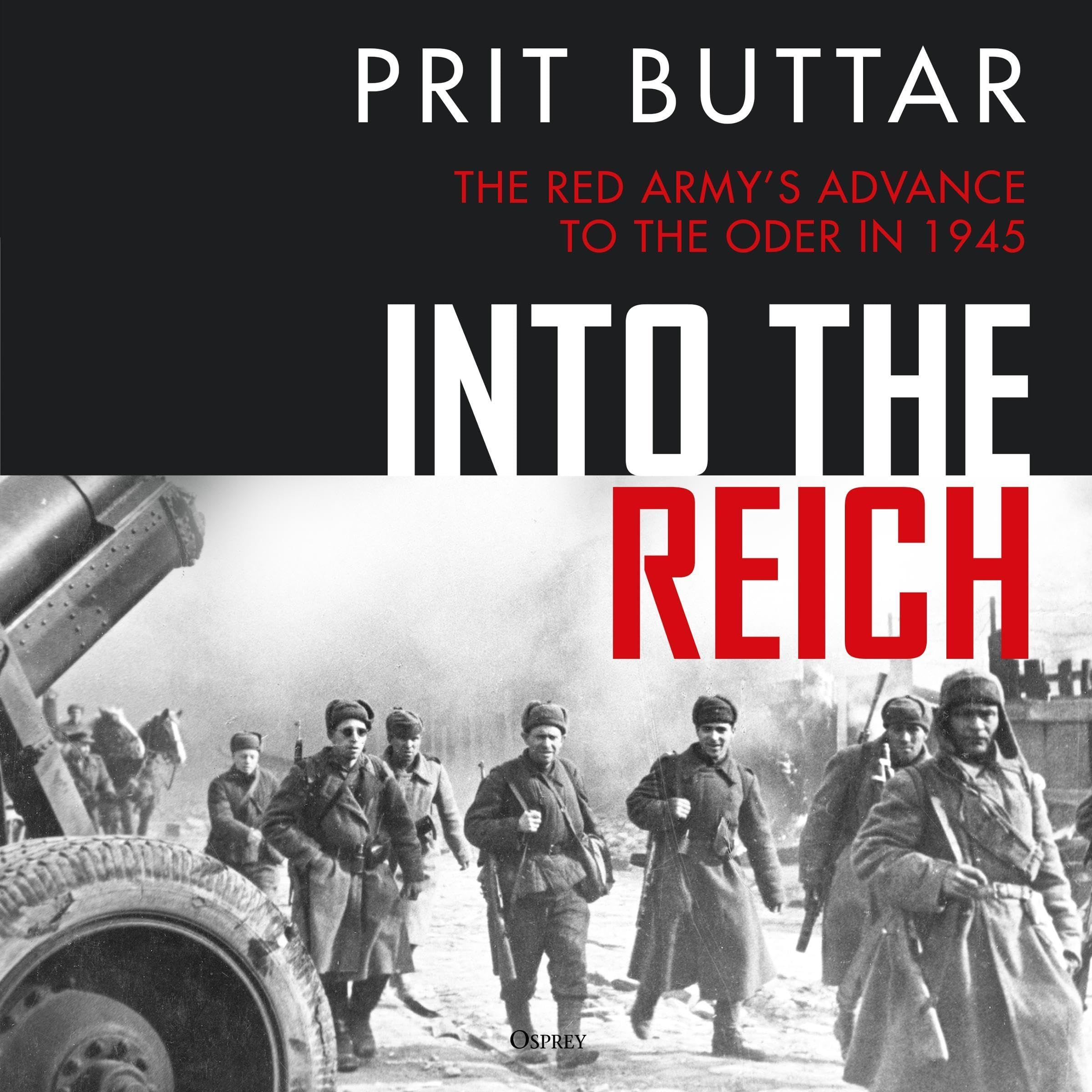 Cover art for Into the Reich