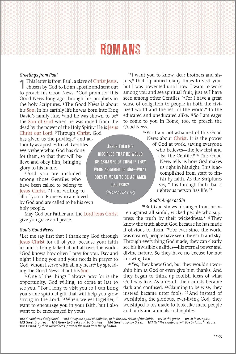 Jesus Centered Bible, NLT Turquoise