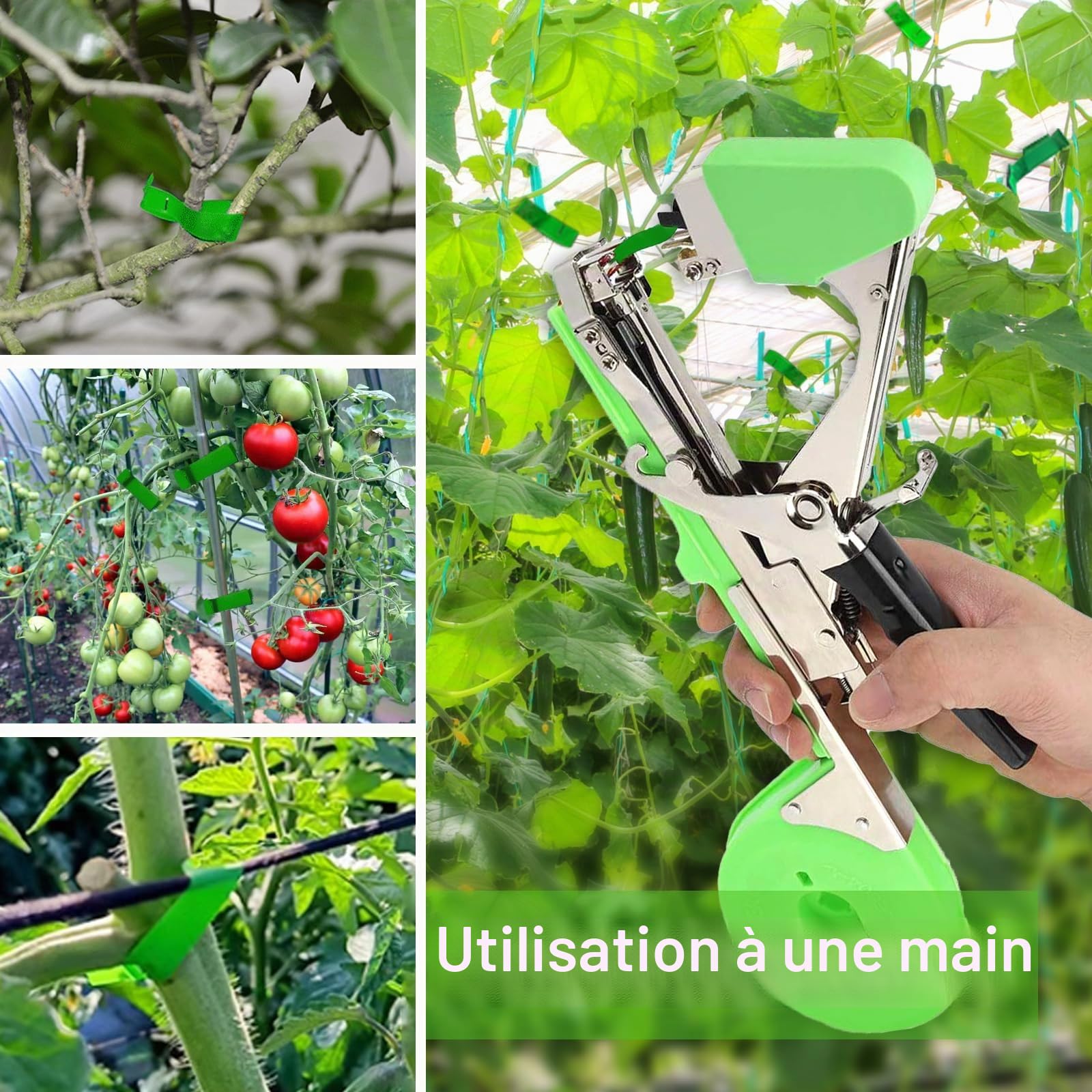 Machine À Taper Nouer Branches,Machine À Taper,Outil Agriculture Manuelle pour Attaches Plantes,Machine de Fixation de Plantes Ensemble d'outils pour Raisins, framboises, tomates et légumes de Vigne