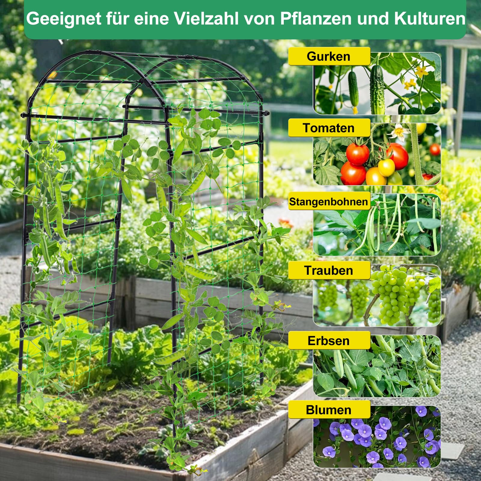 Gurken Rankhilfe Gartenbogen für Kletterpflanzen Rankhilfen, Metall Rostfrei Rankhilfe für Pflanzenspalier für Tomaten, Gemüse Rankgitter Blumen Kletterpflanzen Schwarz