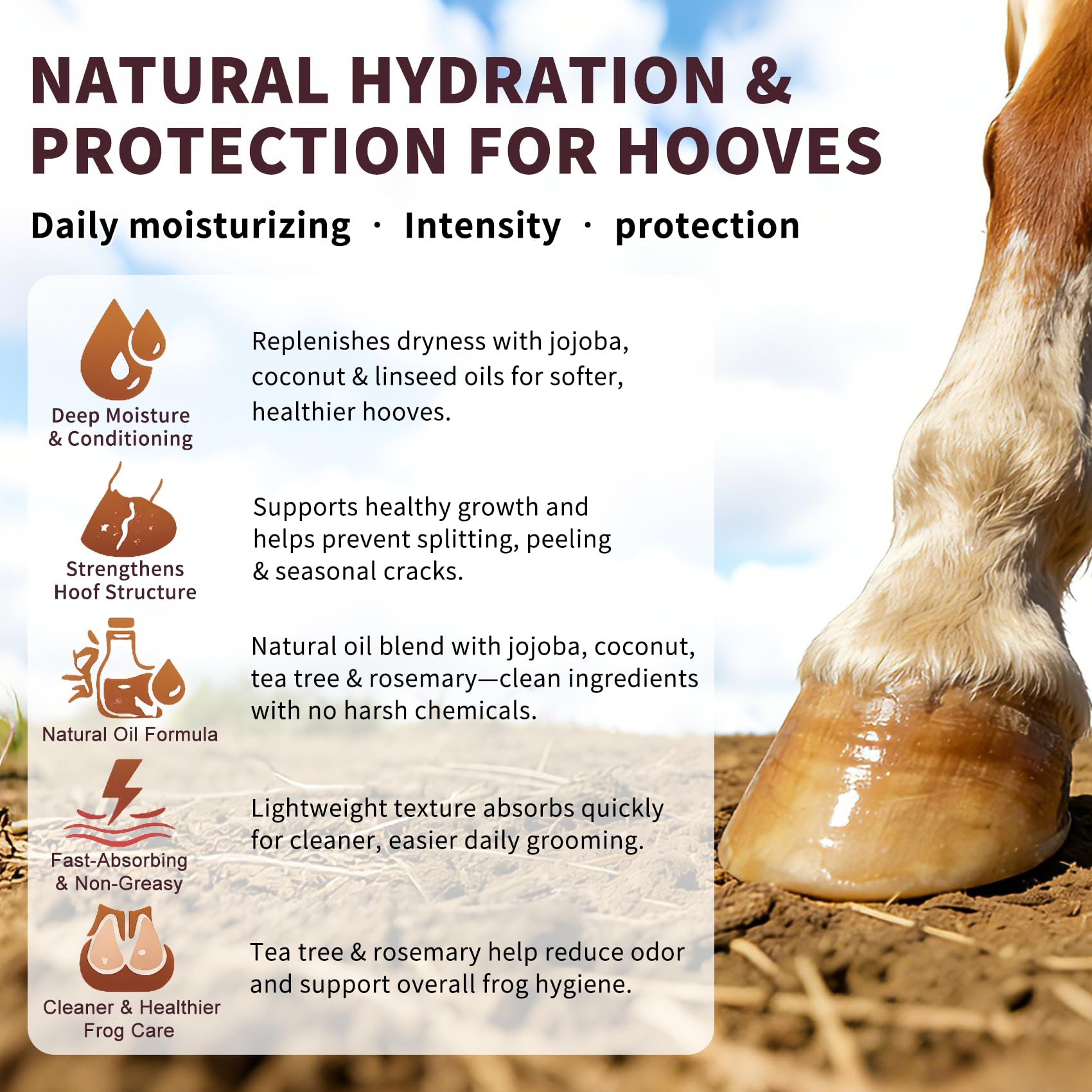 Hoof Oil Spray for Horse – Deep Hydration & Frog Care | Jojoba, Coconut & Tea Tree Formula | Repairs Dry, Cracked, Brittle Hooves & Boosts Natural Shine | 3.38 oz — Amazon image 3