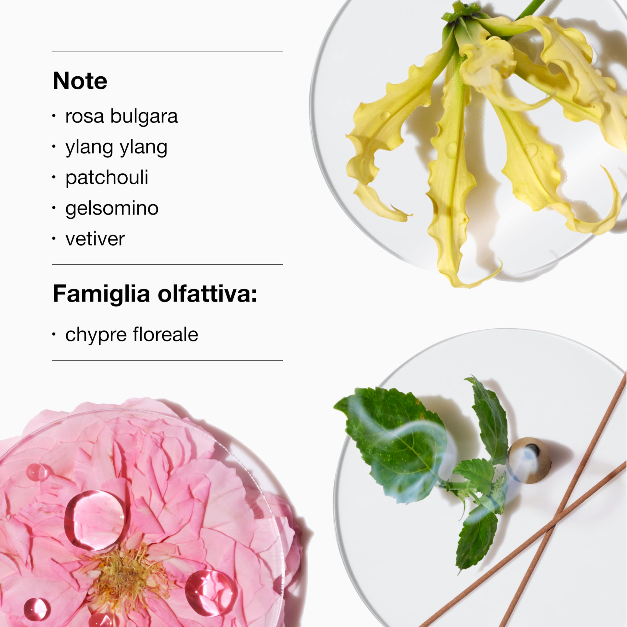 Clinique Aromatics Elixir Eau de Parfum | Il profumo iconico Clinique | Note di rosa bulgara, ylang ylang, patchouli, gelsomino e vetiver