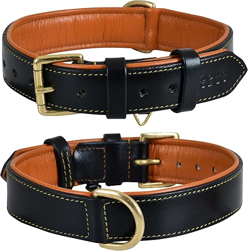 DowgClub Collar de perro de cuero genuino Grano completo, resistente, cómodo, acolchado, fuerte Lo mejor para cachorros de razas pequeñas,