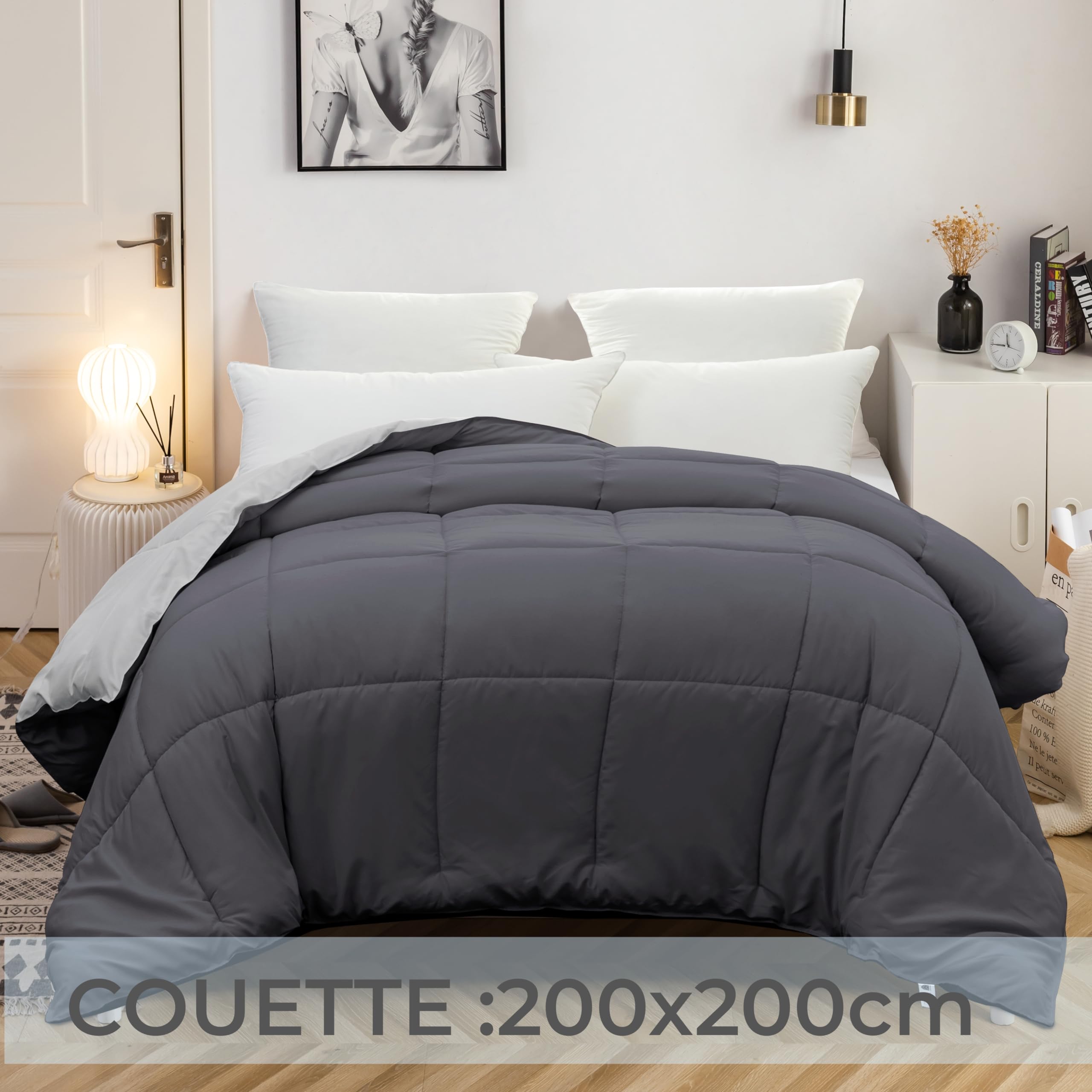 MOHAP Couette Bicolore 4 Saisons 200x200cm Hypoallergénique Gris Foncé + Gris Clair Couette de Lit Réversible 2 Personnes