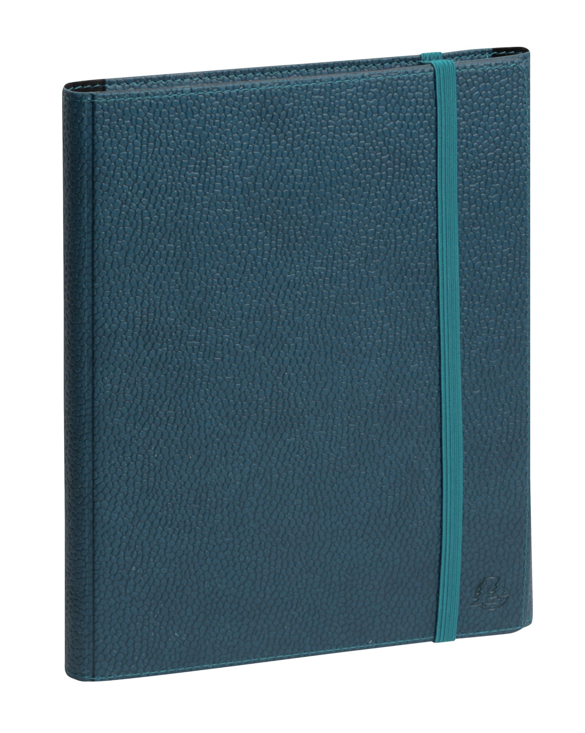 Exacompta 2007602E - Agenda de escritorio All in one Horizons 20S (15 x 21 cm), color azul