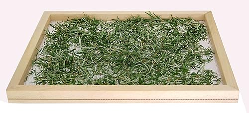 Miniatura 5 de Eppicotispai Secador de alimentos apilable de madera de haya con red