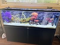 Review Image by AmA AmA