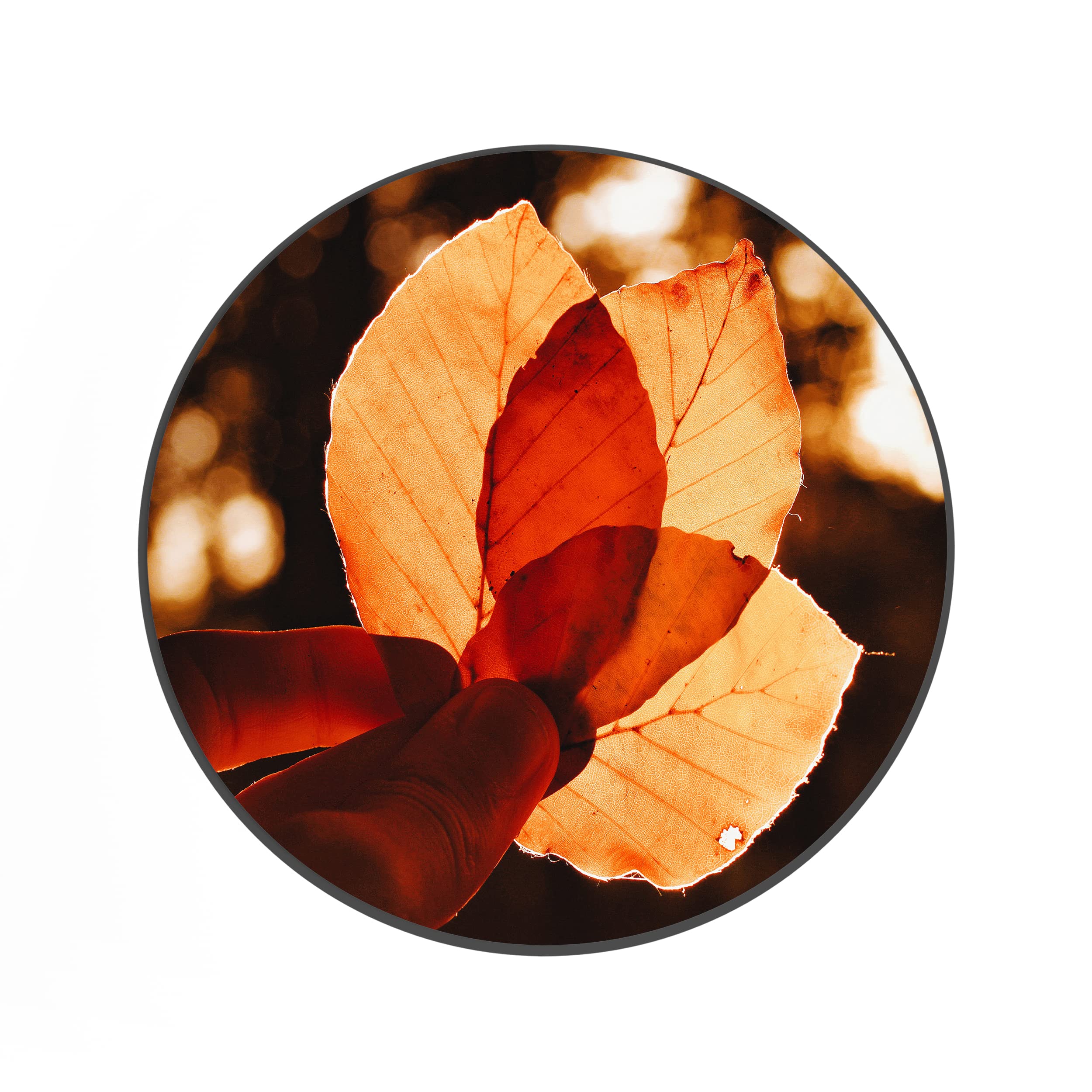 MeetYouAffection:- Unique Design Round Non-Slip Rubber Mouse Pad for Laptop and Computer | (20cm x 20cm)