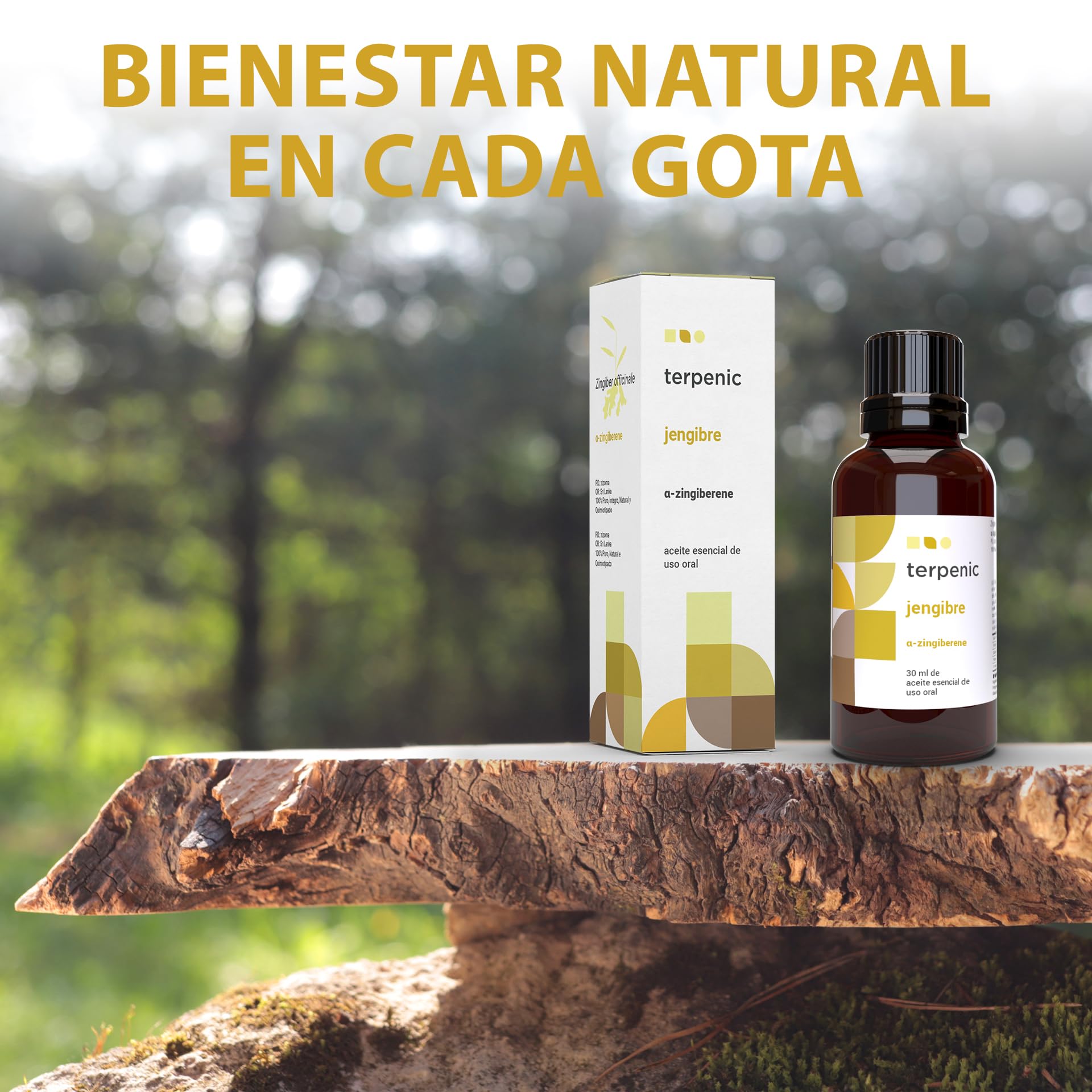 TERPENIC – Aceite Esencial de Jengibre (Zingiber officinale) – 30 ml – Uso Oral – Vitalidad y bienestar digestivo