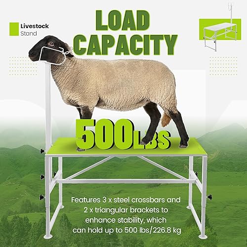 Miniatura 3 de Kojem Soporte para ganado de ovejas de 51 x 23 pulgadas, soporte de ordeño de cabra, soporte de recorte para ovejas y corderos, altura ajustable de