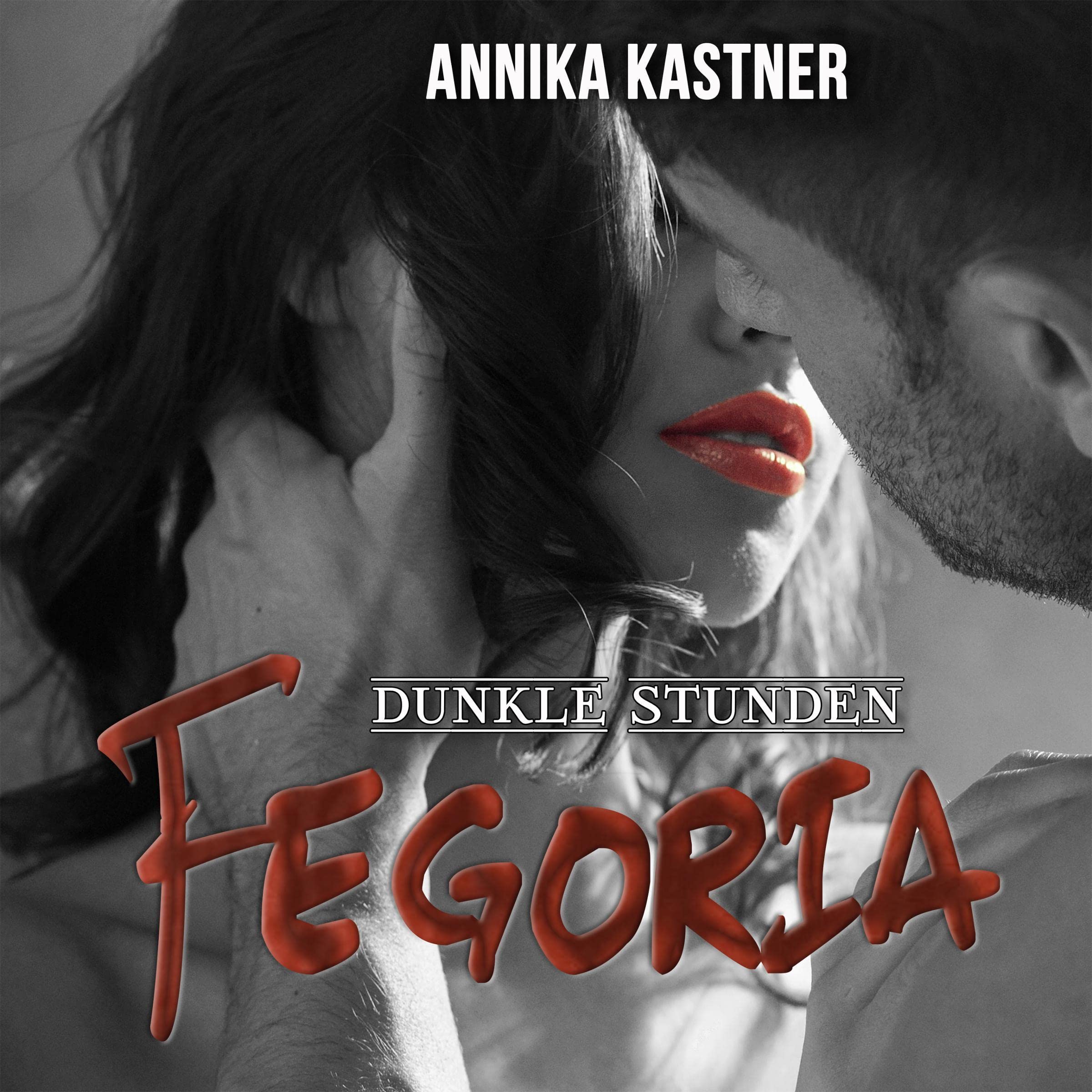 Cover art for Dunkle Stunden