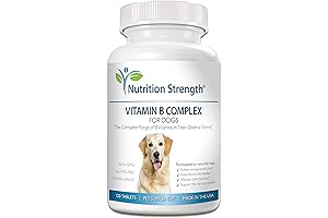 Undiluted B Vitamin Supplement for Dogs with 120 Chewables