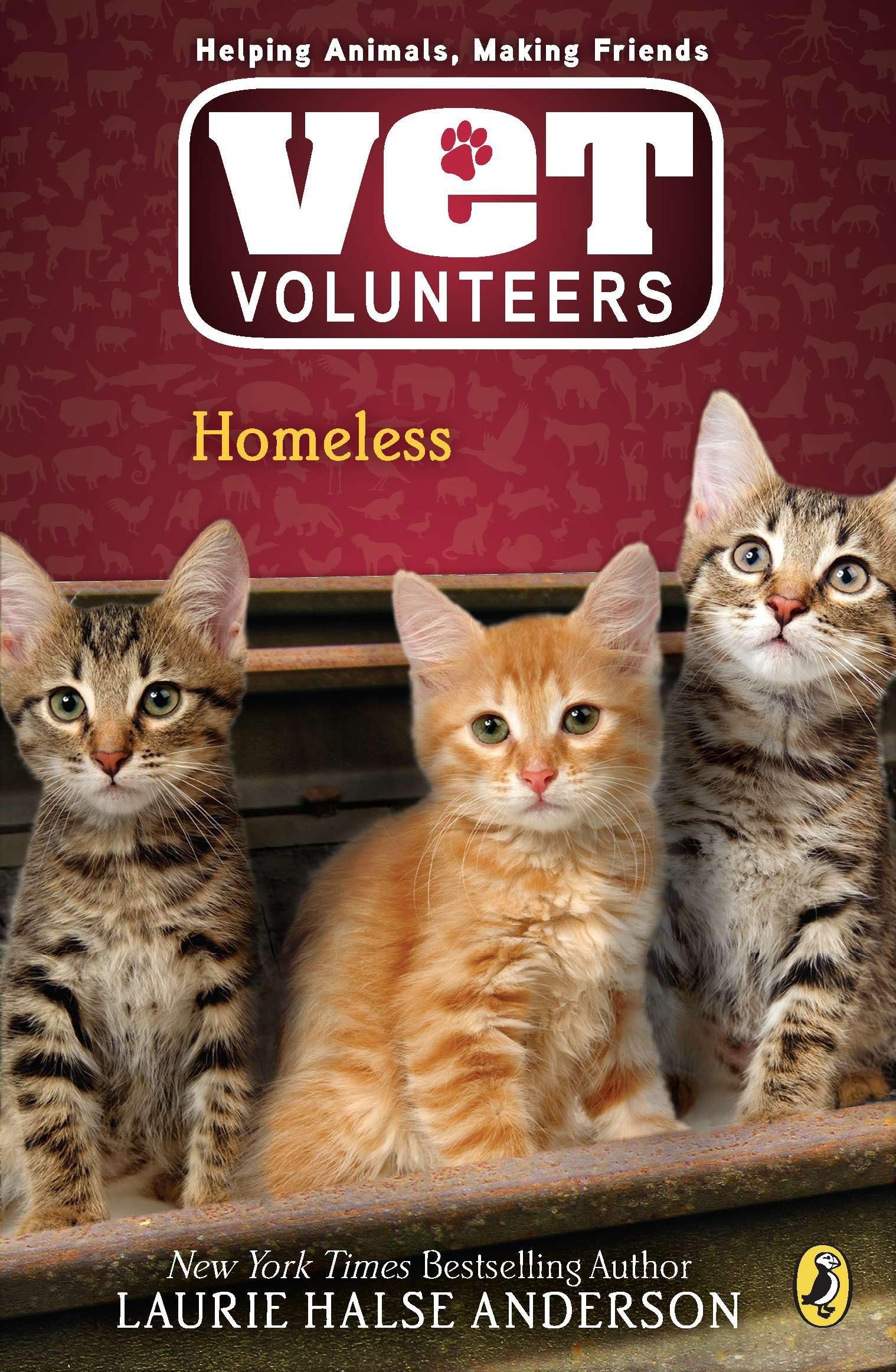 Homeless (Vet Volunteers)