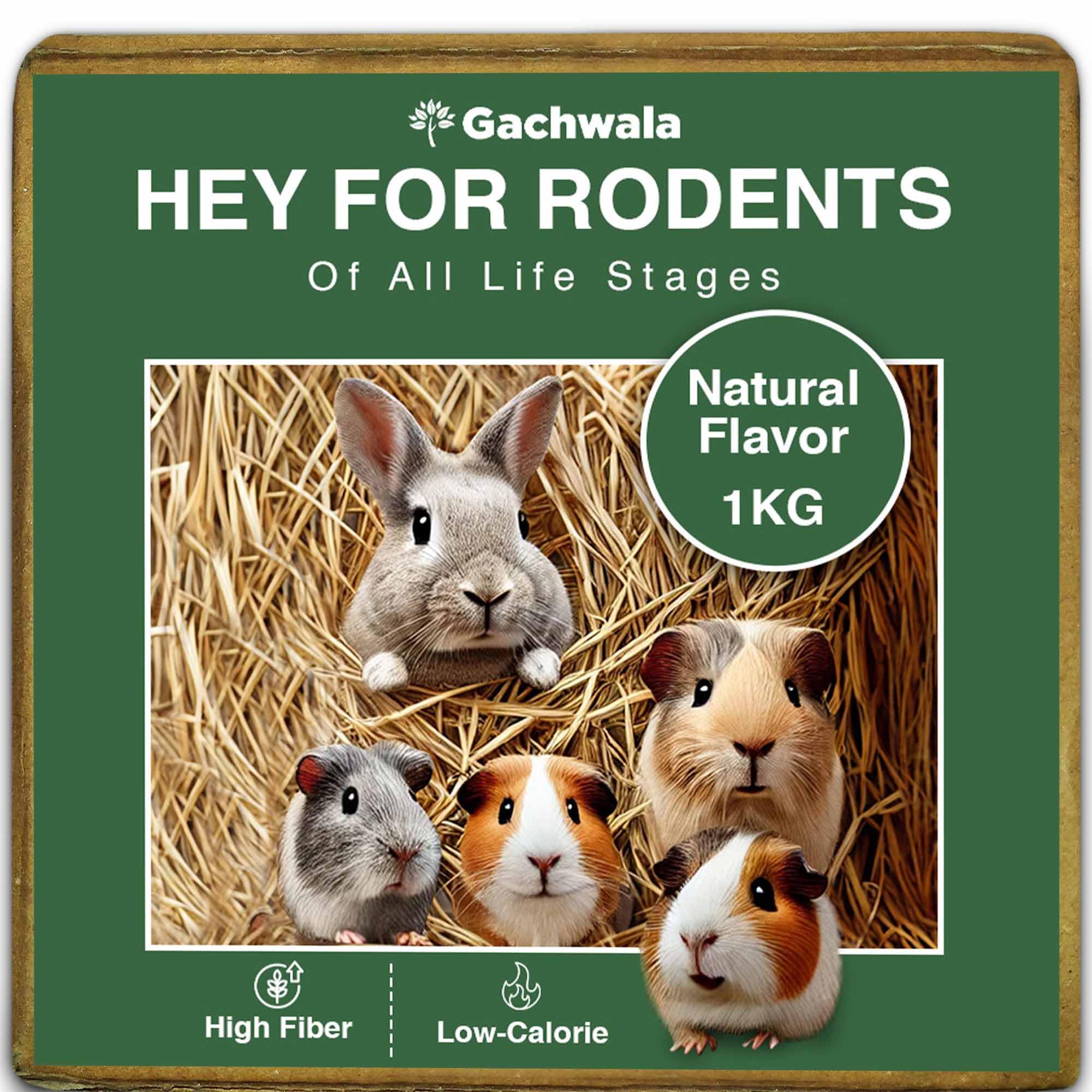Gachwala Rice Paddy Hay for Rodents of All Life Stages, Natural Hay for Small Pets, Natural Flavor, High Fiber Hay for Rabbits, Guinea Pigs, Hamsters, Bedding and Nutrition (1 Kg) (B0DFCJ1KDB) Amazon Price History, Amazon Price Tracker