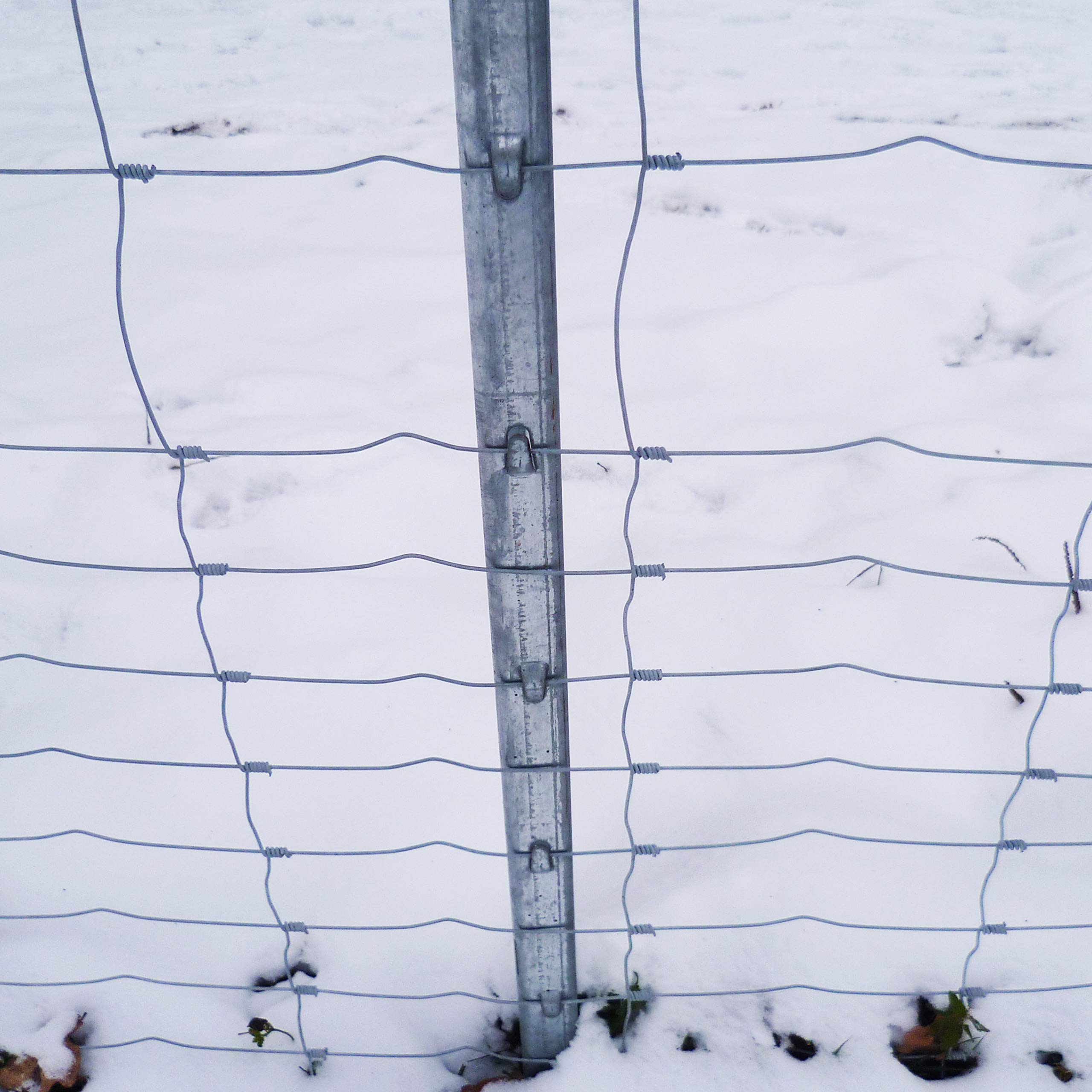 Aquagart Z-Profil Zaunpfosten 2 m verzinkt I 10 Stück Metallzaunpfosten aus Bandstahl 1,5mm stark I hochwertige Zaunpfähle für Wildzaun Weidezaun Drahtzaun Wildschutzzaun Knotengeflecht Zaun