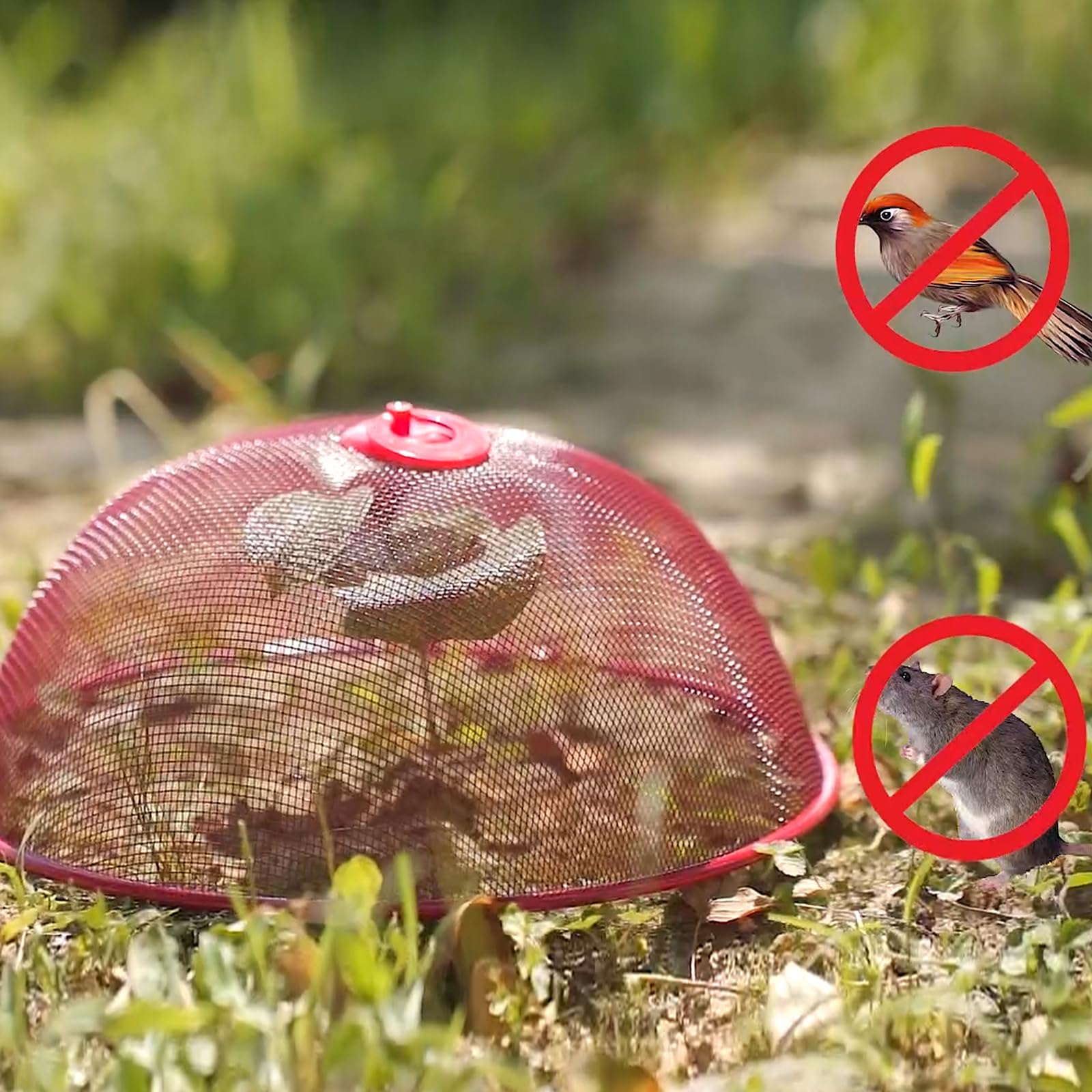4 Pezzi Copertura in Rete per Alimenti, Coperture per Alimenti in Rete Metallica, Coperchio per Alimenti a Mosca, Riutilizzabile, per Barbecue Picnic (Bianco, 24cm)
