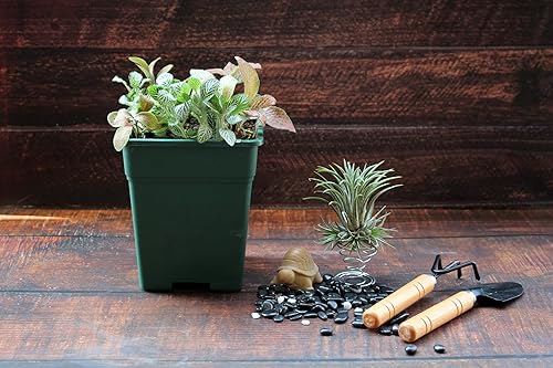 Miniatura 8 de Macetas cuadradas de plástico de 2 galones para plantas de interior y exterior, paquete de 10 con agujeros de drenaje, color negro
