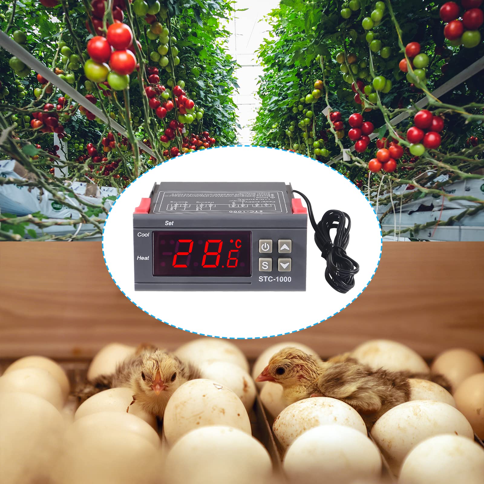 2 unids STC-1000 DC 110V-220V 10A Digital LED Controlador de Temperatura Termostato Interruptor de Control 2 Salida de Relé y NTC 10K Sensores de Termistor Sonda de Temperatura
