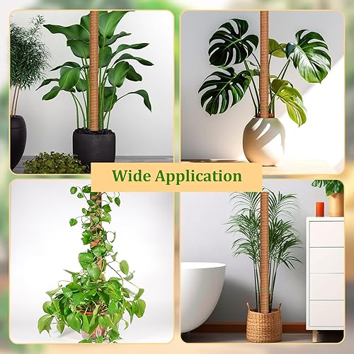 Miniatura 7 de YAUNGEL Poste de musgo, poste de musgo de 64 pulgadas, soporte para plantas Monstera, 4 postes de musgo para plantas, poste de fibra de coco