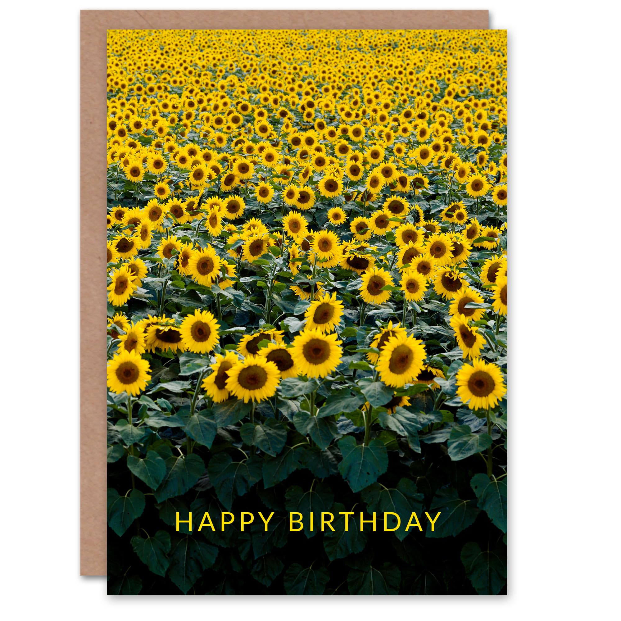 Artery8 Carol M Highsmith Birthday Card Sunflowers in a Wisconsin Field
