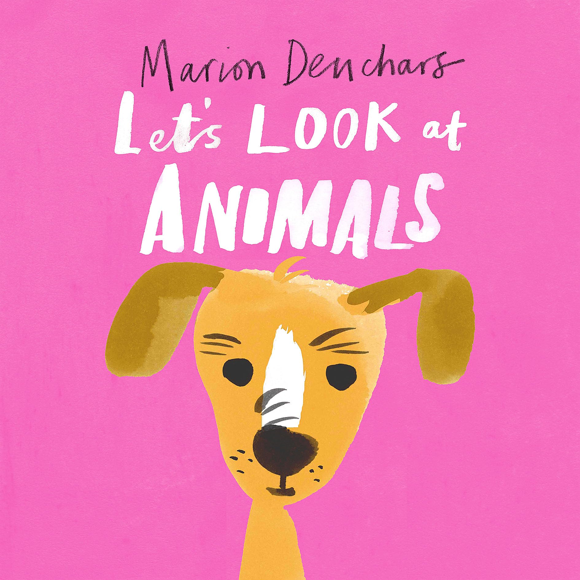 Let's Look at... Animals: Board Book