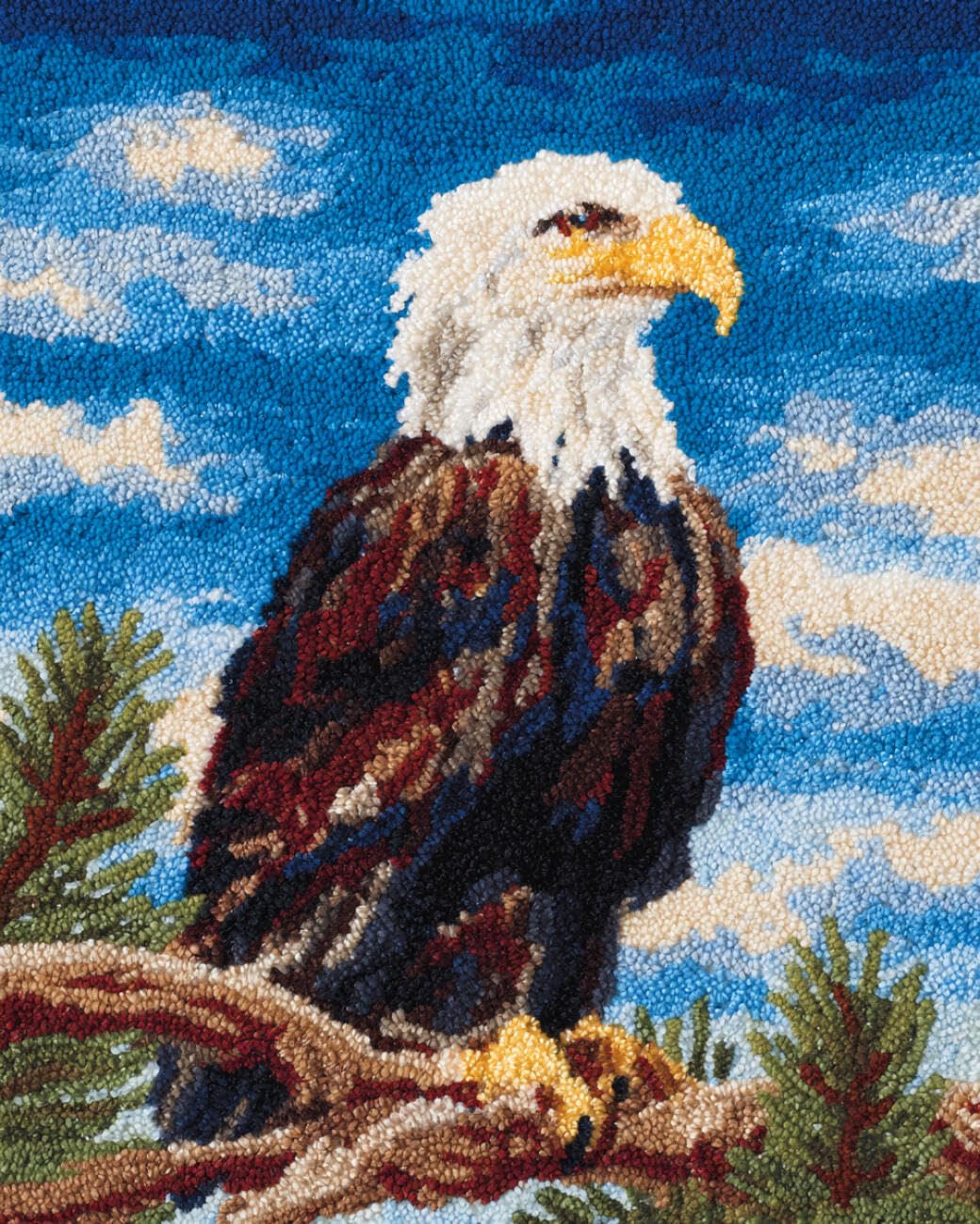 AMBATTERY Latch Hook Tapestry Kit Eagle Portrait 90x120cm