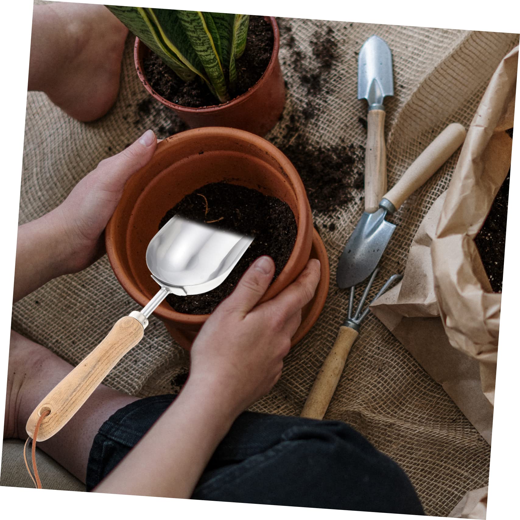TOYANDONA 2 Piezas Pala para Tierra de jardineria Palas de jardín Maceta Mini Pala cucharón Planta Bonsai Hotel de Mano de jardinería Pesada Pala de jardinería Accesorios de jardín