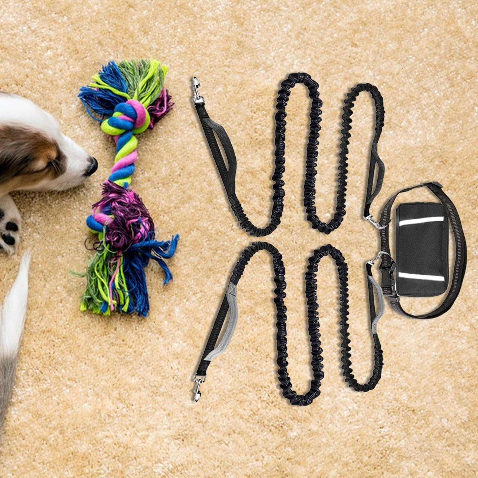 Guinzaglio Con Corda Cani Corda Da Cani Regolabile E Riflettente | Guinzaglio Da Passeggio Con Ideale Per Corsa, Escursionismo, Campeggio, Ciclismo, Attività All'Aperto, Città E Viaggi