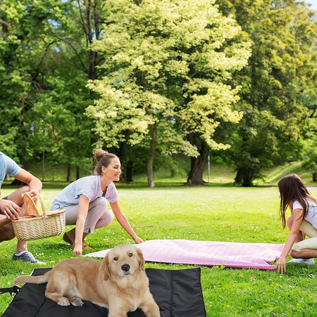 Foto 6 de 7 de BORDEAG Manta para perros para viajes, plegable e impermeable, manta lavable para perros