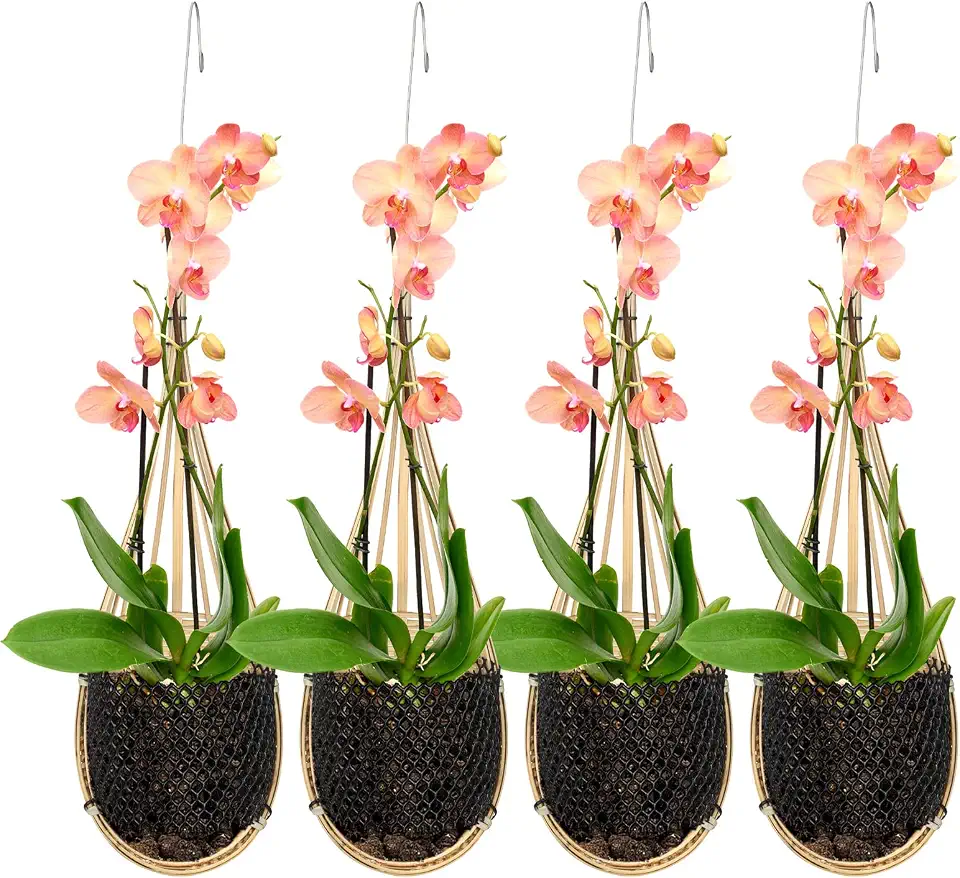 Vaso de orquídea tailandês de bambu trançado de 10 cm cesta de orquídea suspensa com gancho de metal estilo ninho de pássaro, cabides de plantas para treliça ou gazebo para plantas internas e externas (4 pacotes)